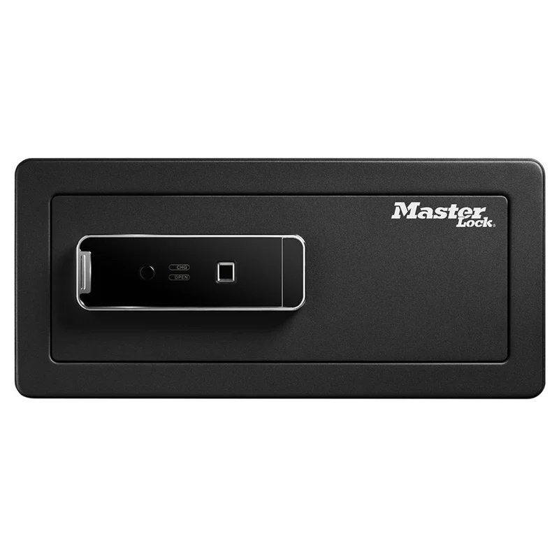 Large biometric security safe