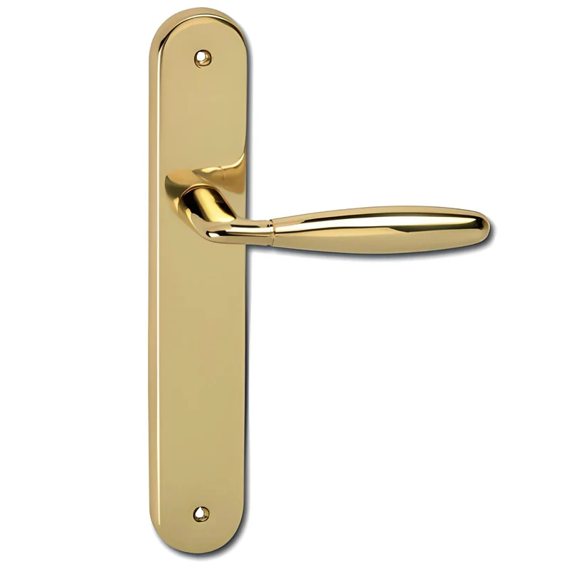Poignée en laiton finition or brillant avec plaque ovale pour portes modèle '151'