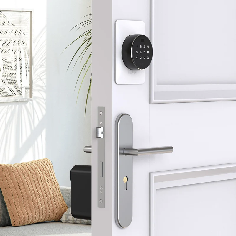 WELOCK A91 Automatic Smart Lock with Face Recognition